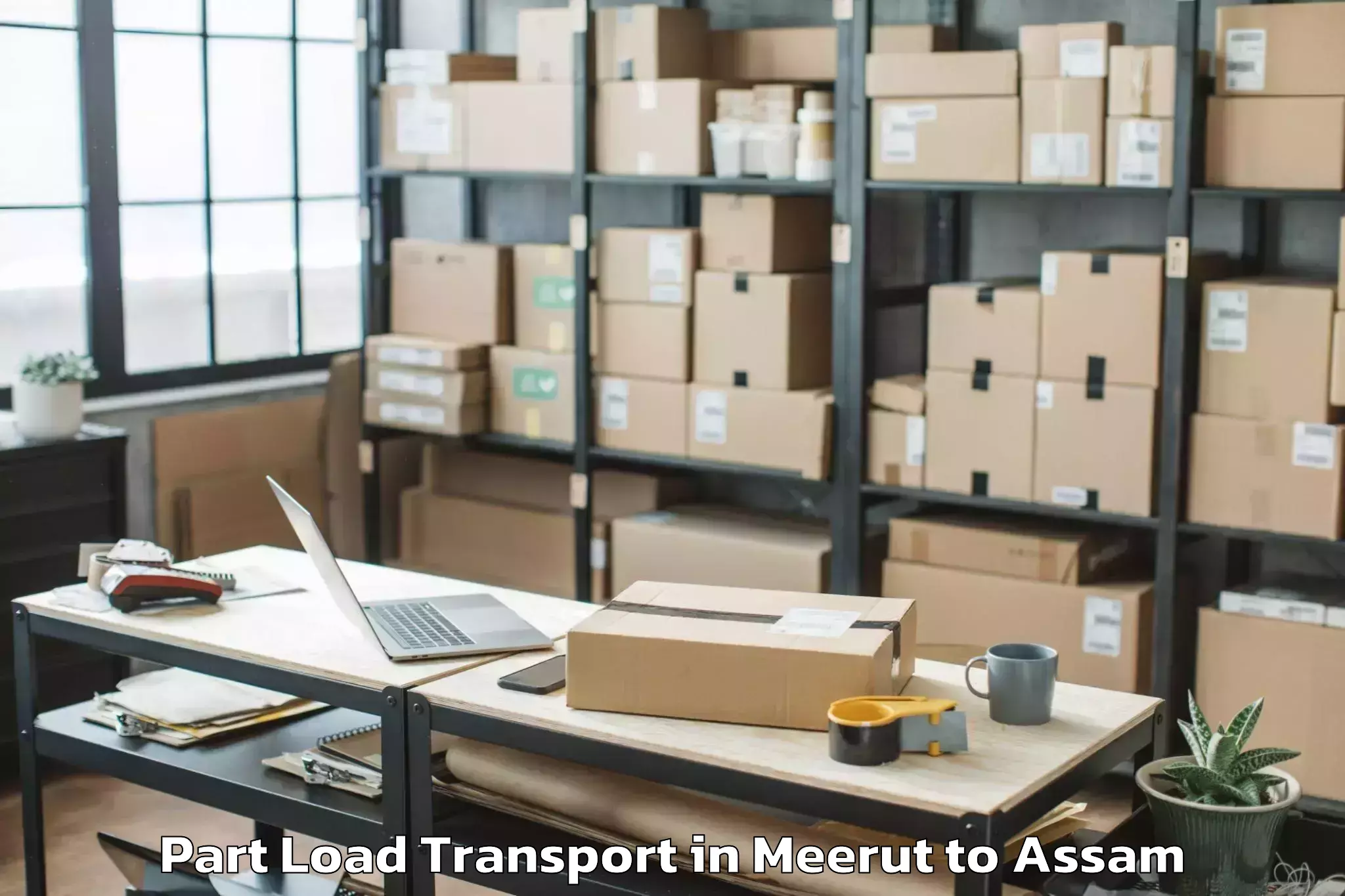 Professional Meerut to Agomani Part Load Transport